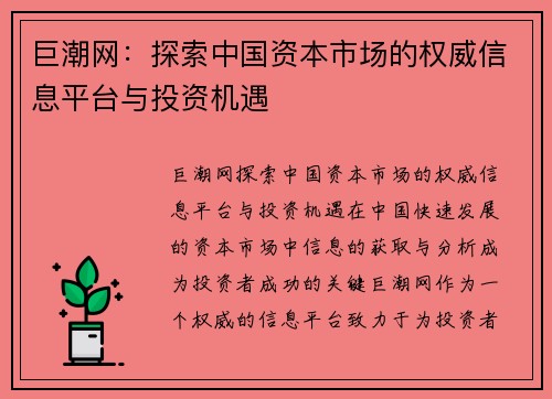 巨潮网：探索中国资本市场的权威信息平台与投资机遇